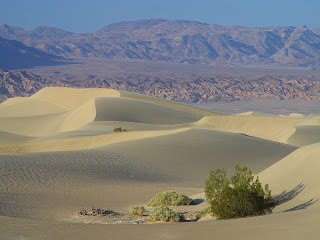a dry dessert scene