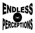 Logo for Endless Perceptions surrounding an open window 100x 2