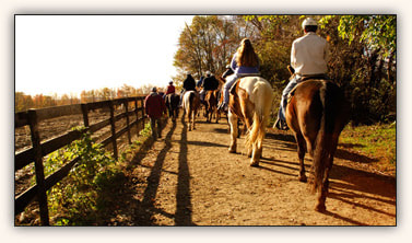 number of people riding horses near a fence