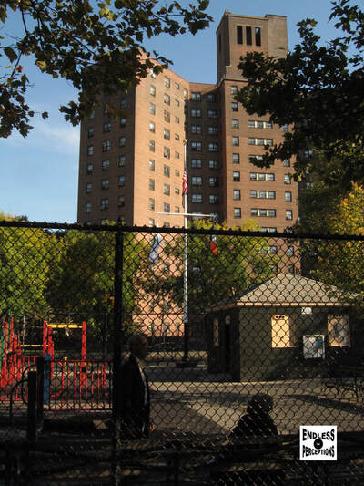 Big Park 1Picture