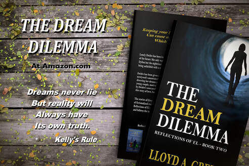The Dream Dilemma book on wooden surface